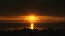 Fiji - Island Flavours