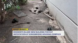 Residents blame new building for rat infestation at Kingsbridge housing complex
