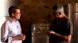Presenting: World-Class Wines of Baja