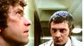 The Professionals