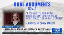 Costco sues over Trump's tariffs, seeks full refund for fees it says are illegal