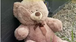 Tips for processing a tragedy following Stockton mass shooting