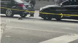 NYPD searches for Honda sedan in connection to Wakefield shooting