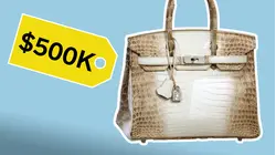 Why Birkin Bags Are So Expensive