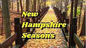 New Hampshire Seasons