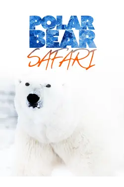Polar Bear Safari