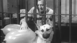The Roy Rogers Show: S1 Ep 1 - Jailbreak (1951)