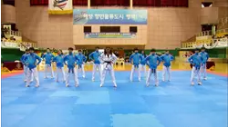 Taekwondo Dance Competition