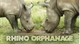 Rhino Orphanage