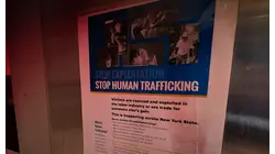 NY officials vow action on enforcement gap exposed in Turn To Tara trafficking probe