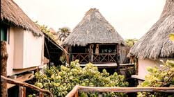 Tiny BNB: Tiny Tulum