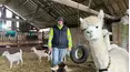 The Yorkshire Vet