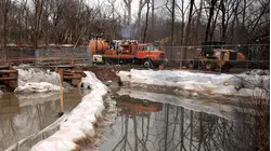 Massive Cleanup Underway After Sewage Spill in Potomac River