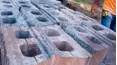 Flip My Florida Yard