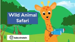 Wild Animal Safari