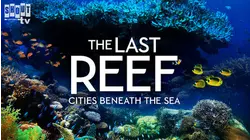 The Last Reef: Cities Beneath The Sea