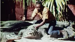 Thrillseekers : Alligators, Snowmobile Racing, Aerobatics & Fire Stunts!