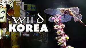 Wild Korea