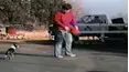 Funniest Pets & People