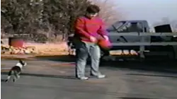 Little known sports records