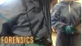 Forensics