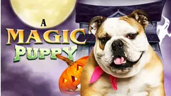 A Magic Puppy