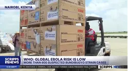 WHO: Global Ebola risk low, regional threat high in Congo