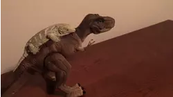 Piggy Back Pets