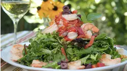Light Lunches