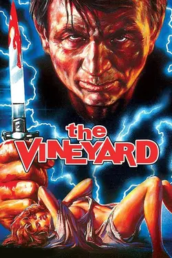 The Vineyard