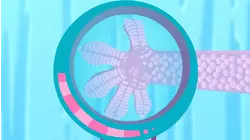 Earth to Luna - s1 | e8 - Gecko Glue?