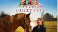 A Horse Called Hope