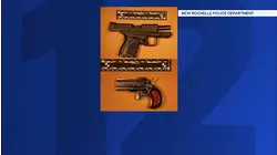 Cocaine and guns seized at New Rochelle wine shop