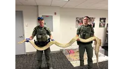 Snake confiscated from man flaunting Burmese python to Coney Island crowd