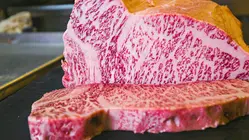 Why Wagyu Beef Is So Expensive