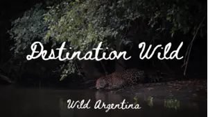Destination Wild - Wild Argentina