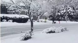 Una poderosa tormenta invernal cubre de blanco el Noreste del país