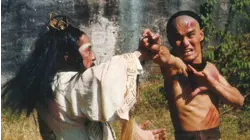 Young Hero of Shaolin Pt. 2