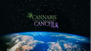 Cannabis Vs Cancer (2020)