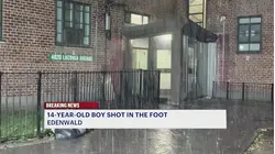 Teen shot in the foot at Edenwald Houses