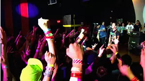 Fested- A Journey to Fest 7