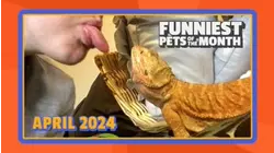 Ep. 1.5