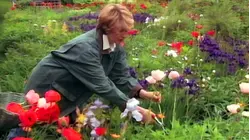 Poppies, Salad Dressing, Tea, Madeleines