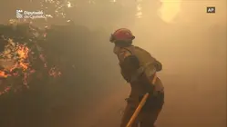 Race to contain raging wildfires in Spain and France