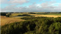 Samso, Denmark featuring Trace Bundy,Phil Collins, Stephen Bishop, Earl Klugh