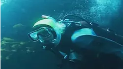 Scuba Diver and Car Capers