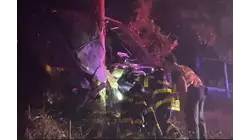 Driver flees scene after slamming into pole, guardrail, and tree in Woodbridge