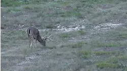 No Limits Hunting S7:E13 "Best of Season 7"