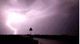 WeatherSpy Shorts