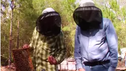 How To Do Party Boat Fishing And Beekeeping